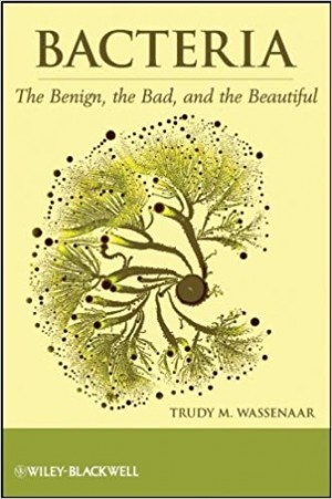 Bacteria - The Benign, the Bad, and the Beautiful