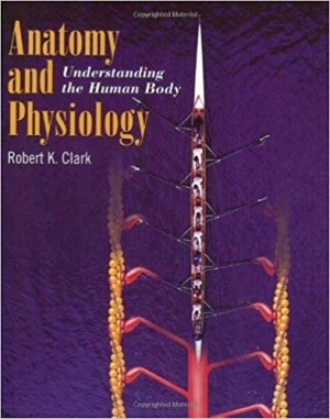 Anatomy and Physiology - Understanding the Human Body