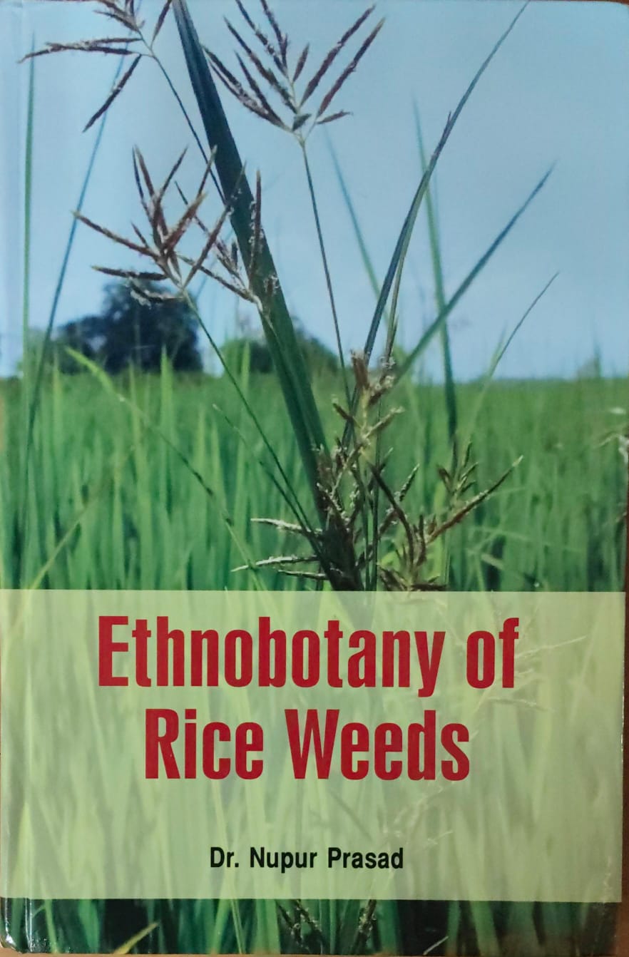 Ethnobotany of Rice Weeds