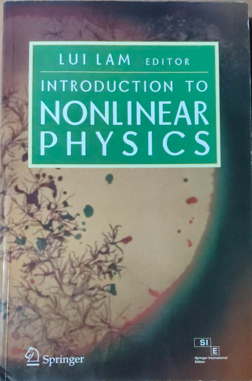 Introduction to Nonlinear Physics