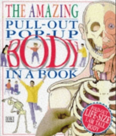The Amazing Pull out pop out NEW