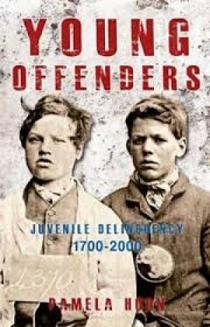 Young Offenders: Juvenile Delinquency 1700-2000 New